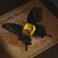 Golden Butterflies Metal Artisan Keycaps for Mechanical Gaming Keyboard